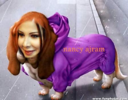 nansy toz